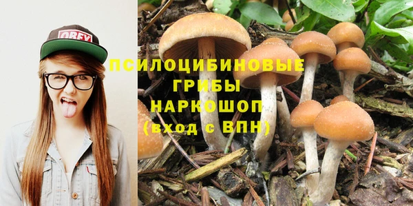 спиды Липки