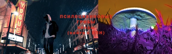 a pvp Лиски